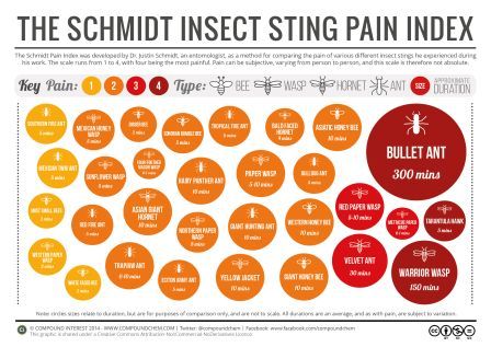Pain-Index